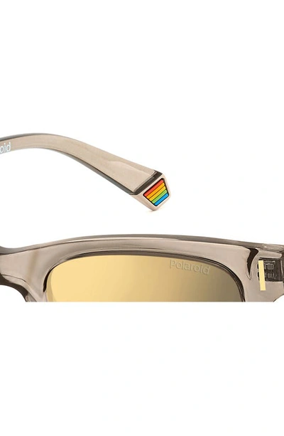 Shop Polaroid 51mm Polarized Square Sunglasses In Beige/ Grey Gold Polarized