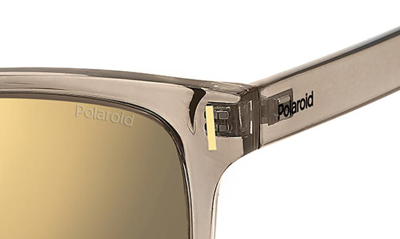 Shop Polaroid 51mm Polarized Square Sunglasses In Beige/ Grey Gold Polarized