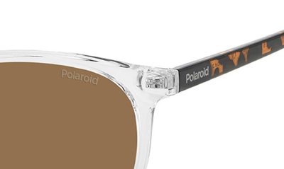 Shop Polaroid 54mm Polarized Round Sunglasses In Crystal/ Bronze Polarized
