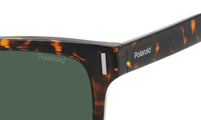 Shop Polaroid 51mm Polarized Square Sunglasses In Havana/ Green Polarized