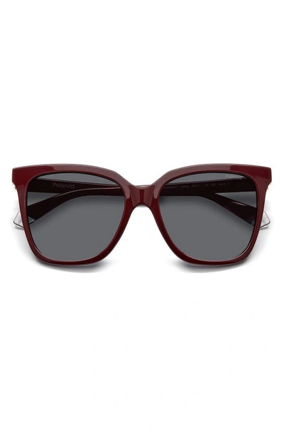 Shop Polaroid 55mm Polarized Square Sunglasses In Burgundy/ Gray Polarized