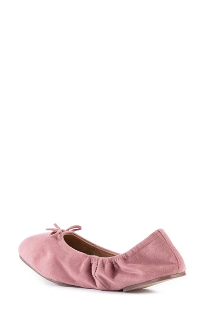 Shop Seychelles Breathless Ballet Flat In Rose