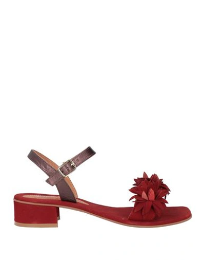 Shop Gardini Spirit Woman Sandals Burgundy Size 7 Soft Leather In Red