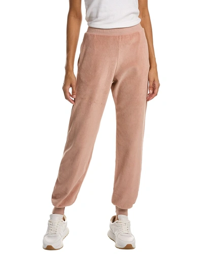 Shop Project Social T High Roller Velour Jogger Pant In Brown