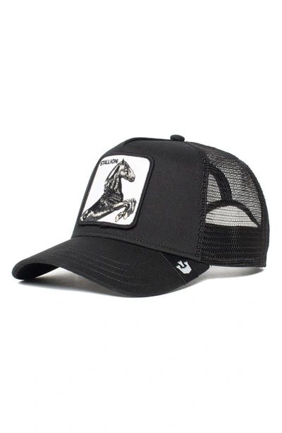 Shop Goorin Bros The Stallion Patch Trucker Hat In Black