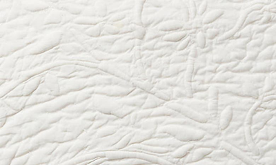 Shop Ralph Lauren Munroe Accent Pillow In True Cream