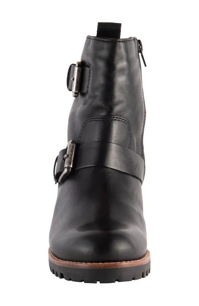 Shop David Tate Palmar Double Strap Waterproof Boot In Black