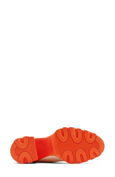 Shop Sorel Brex™ Bold Waterproof Front Zip Bootie In Bleached Ceramic/ Orange