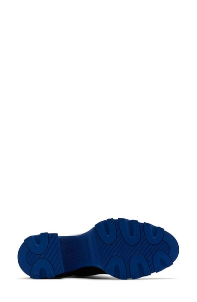 Shop Sorel Brex™ Bold Waterproof Front Zip Bootie In Black/ Cobalt Blue
