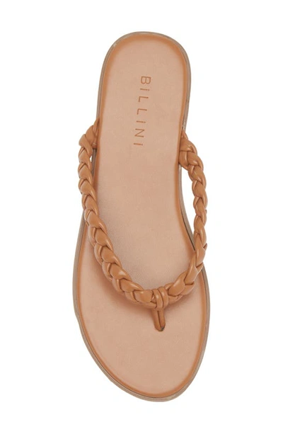 Shop Billini Cetti Flip Flop In Toffee