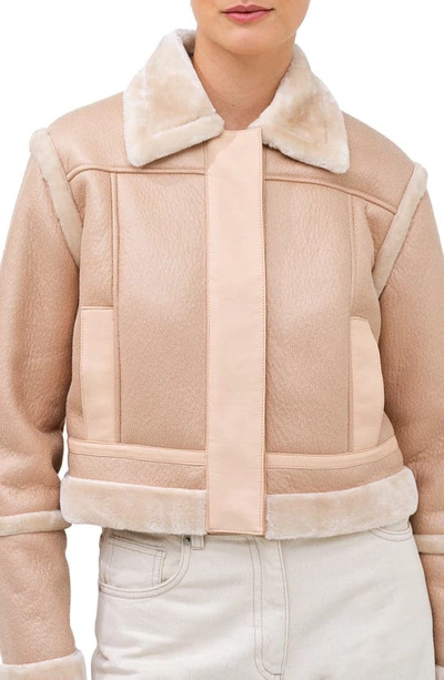 Shop French Connection Belen Faux Fur Trim Faux Leather Pilot Jacket In Toasted Almond