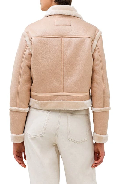 Shop French Connection Belen Faux Fur Trim Faux Leather Pilot Jacket In Toasted Almond