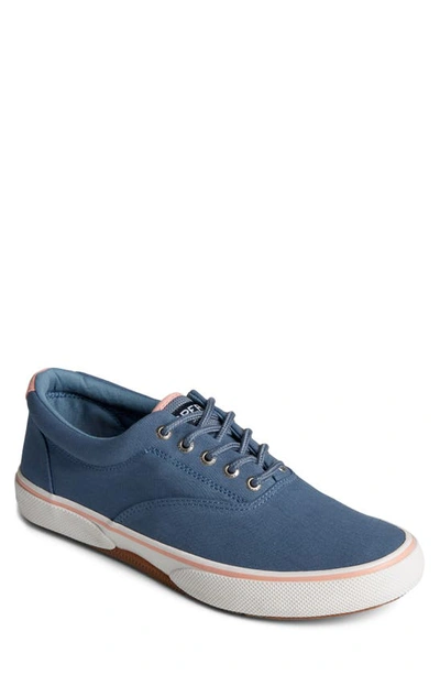 Shop Sperry Top-sider® Halyard Cvo Sneaker In China Blue