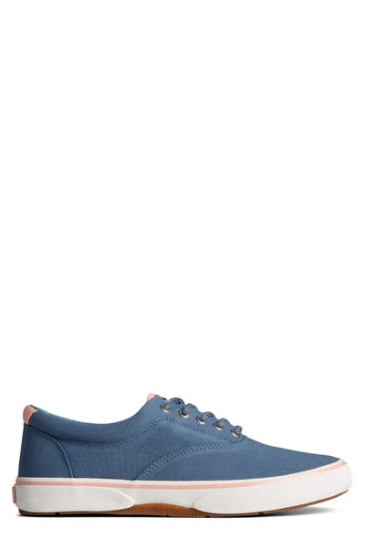 Shop Sperry Top-sider® Halyard Cvo Sneaker In China Blue