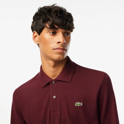 Shop Lacoste Shirt In Red
