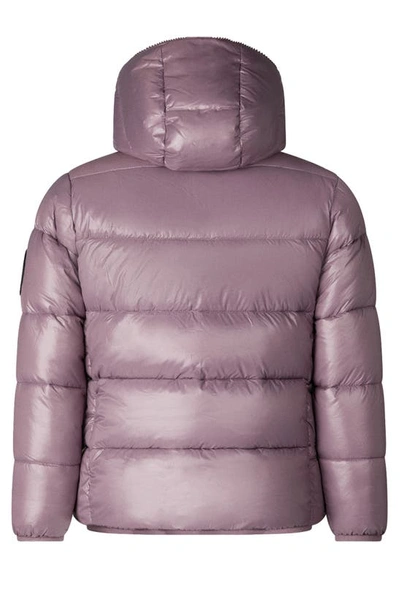 Shop Save The Duck Kids' Gaby Short Puffer Jacket In Ash Violet