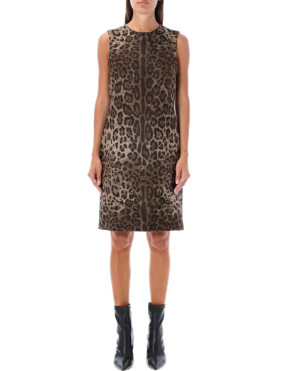 Shop Dolce & Gabbana Leopard Jacquard Midi Dress In Multi