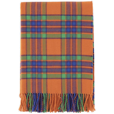 Shop Etro Check Patterned Fringed Scarf In Multi
