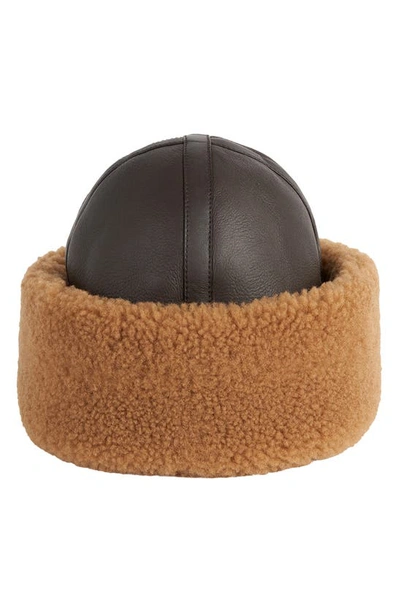 Shop Totême Toteme Genuine Shearling Cuff Hat In Chocolate