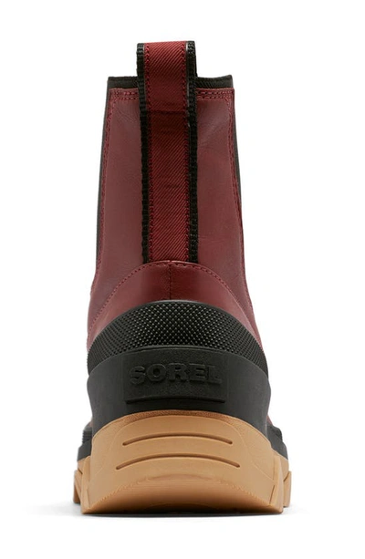 Shop Sorel Brex™ Waterproof Chelsea Boot In Spice/ Black