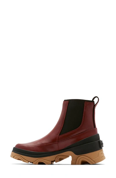 Shop Sorel Brex™ Waterproof Chelsea Boot In Spice/ Black