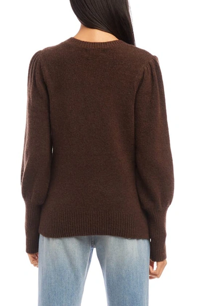 Fifteen Twenty Juliet Sleeve Sweater In Brown