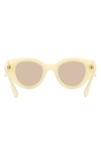 Shop Burberry Meadow 47mm Phantos Sunglasses In Milky Ivory