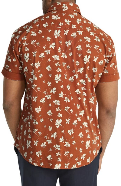 Shop Johnny Bigg Tyler Floral Stretch Short Sleeve Button-down Shirt In Rust