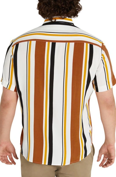 Shop Johnny Bigg Mason Stripe Short Sleeve Button-up Shirt In White/ Brown/ Orange