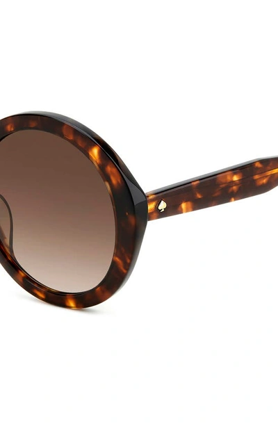 Shop Kate Spade Zya 55mm Gradient Round Sunglasses In Havana/ Brown Gradient