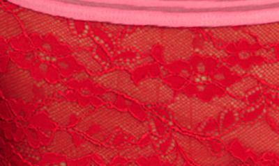 Shop Freya Offbeat Lace Boyshorts In Chilli Red