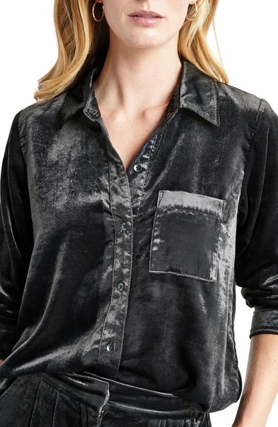 Splendid Irene Stretch Velvet Button-up Shirt In Lead