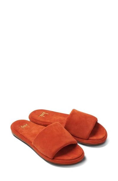 Shop Beek Puffbird Slide Sandal In Pumpkin