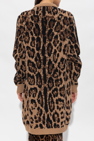 Shop Dolce & Gabbana Cashmere Cardigan In Leopardato