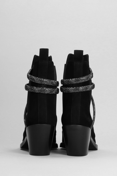 Shop René Caovilla Low Heels Ankle Boots In Black Suede