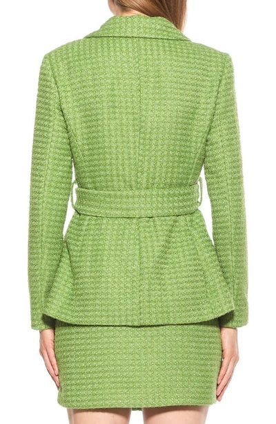 Alexia Admor Olya Plaid Belted Blazer In Sage Tweed