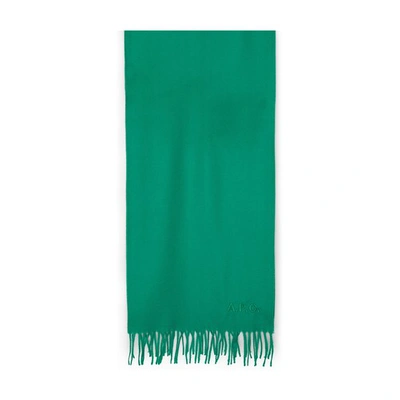 Shop Apc Embroidered Ambroise Scarf In Green