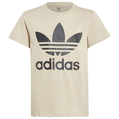 Shop Adidas Originals Boys  Trefoil T-shirt In Wonder Beige/black