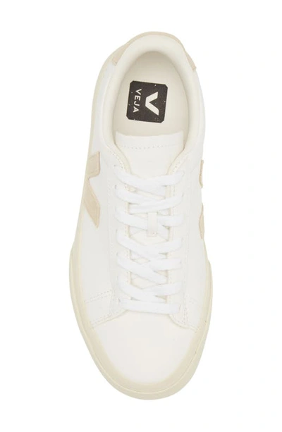 Shop Veja Campo Sneaker In Extra-white Almond