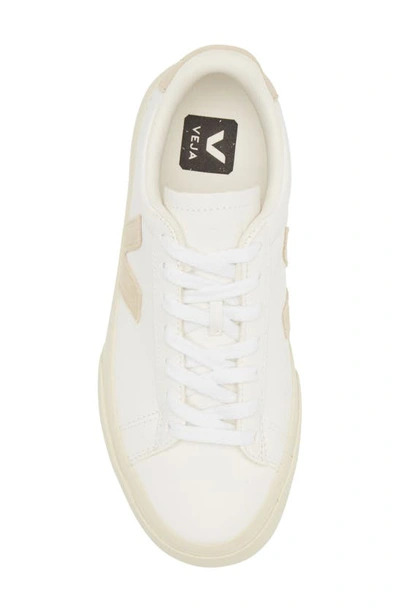 Veja V-12 Leather Extra White Sable Trainers In Extra-white Almond
