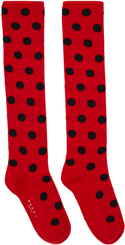 Shop Marni Red & Black Polka Dots Socks In Dor67 Red