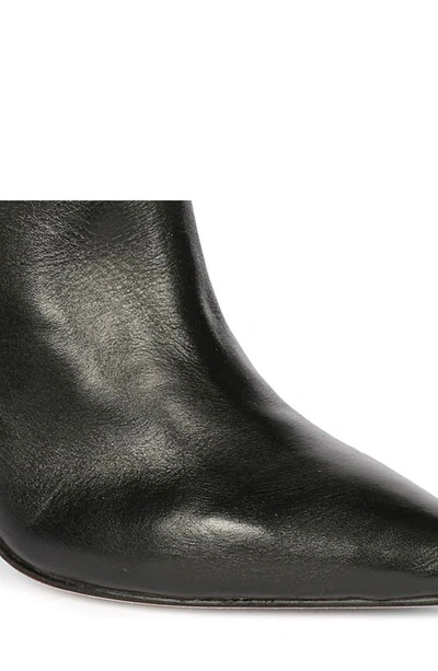 Saint G Fia Pointed Toe Bootie In Black