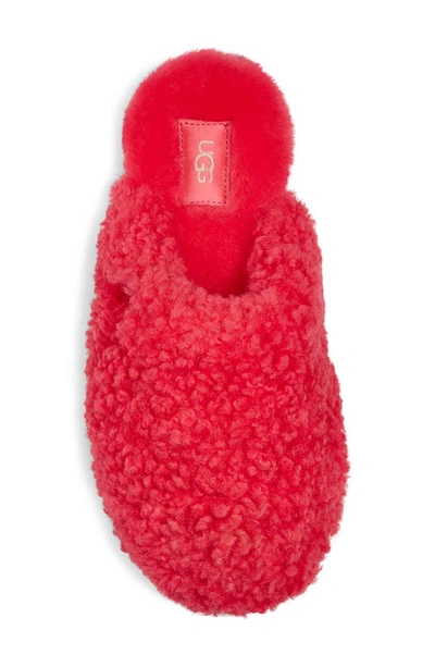 Shop Ugg Maxi Curly Genuine Shearling Clog In Pink Glow