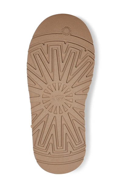 Ugg Classic Sweater Letter Ta Knitted Suede High-leg Boots In Chestnut