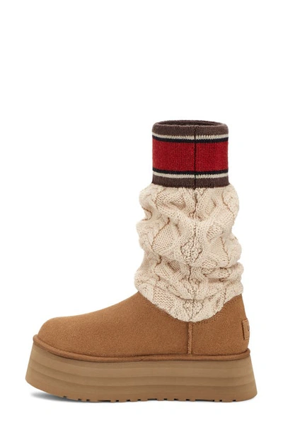 Ugg Classic Sweater Letter Ta Knitted Suede High-leg Boots In Chestnut