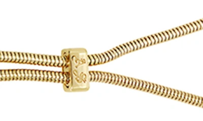 Shop Allsaints Snake Chain Lariat Necklace In Gold