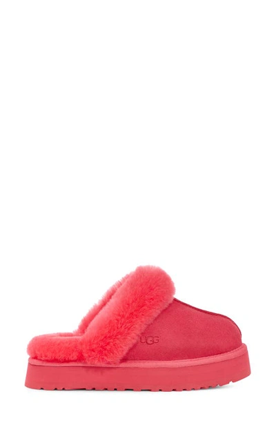 Shop Ugg Disquette Slipper In Pink Glow