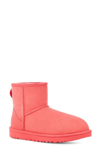 Shop Ugg Classic Mini Ii Genuine Shearling Lined Boot In Punch Pink