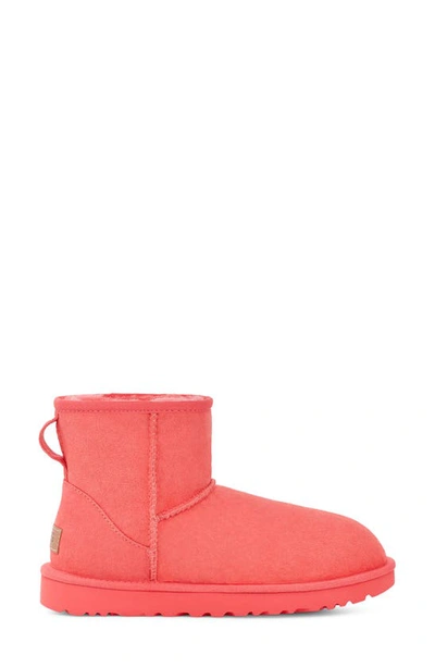 Shop Ugg Classic Mini Ii Genuine Shearling Lined Boot In Punch Pink