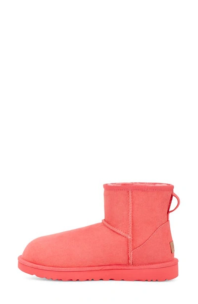 Shop Ugg Classic Mini Ii Genuine Shearling Lined Boot In Punch Pink